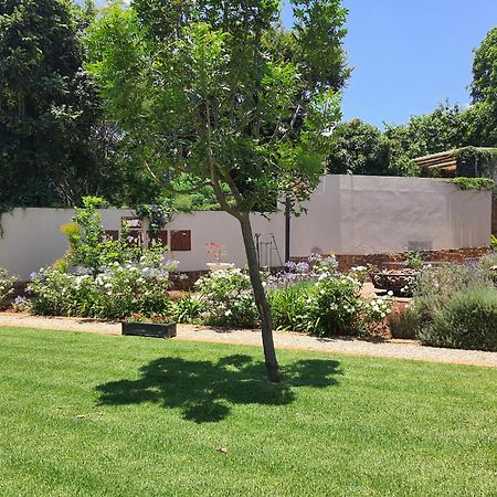 House Olive Bed & Breakfast Pretoria Bagian luar foto